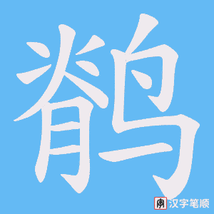 鹡笔顺动图