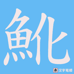 魤笔顺动图