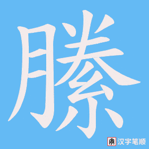 縢笔顺动图