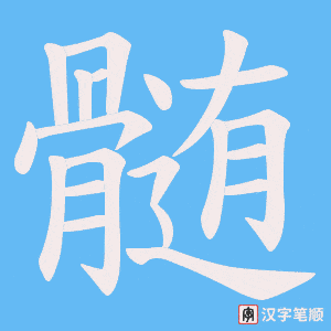 髄笔顺动图