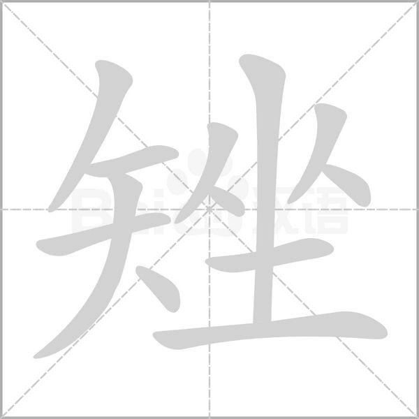 矬笔顺动图