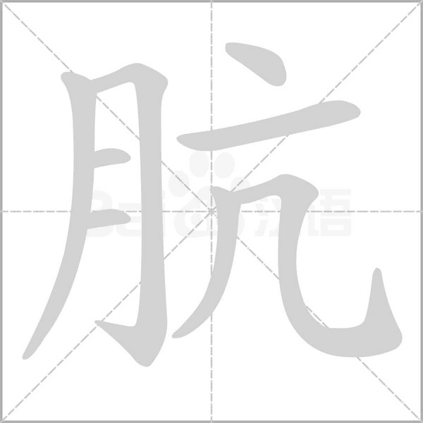 肮笔顺动图