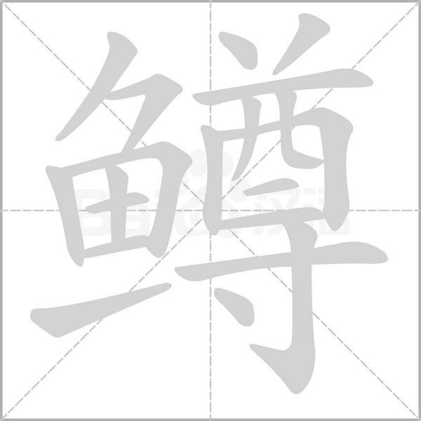 鳟笔顺动图