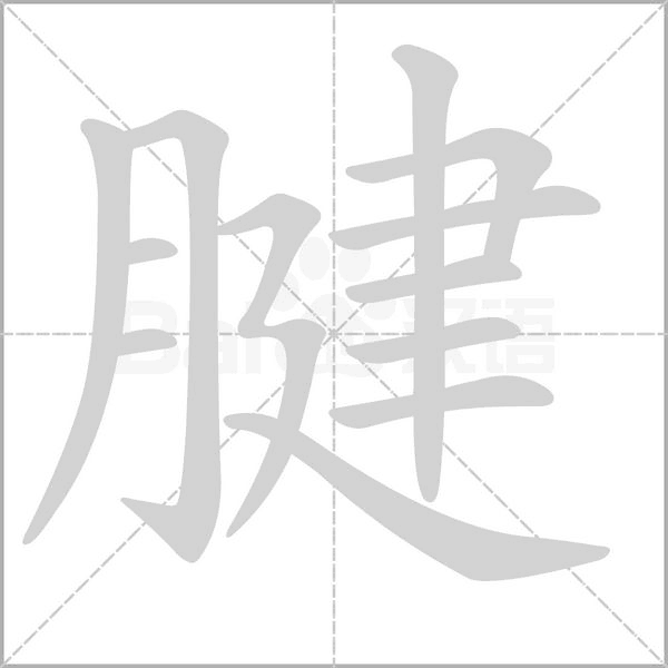 腱笔顺动图