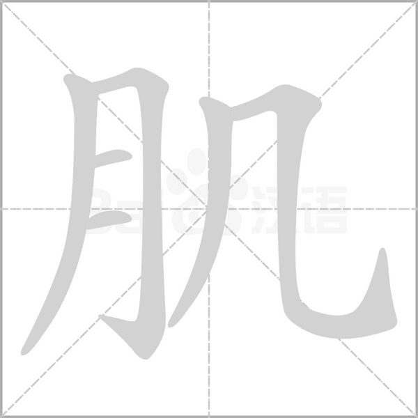 肌笔顺动图