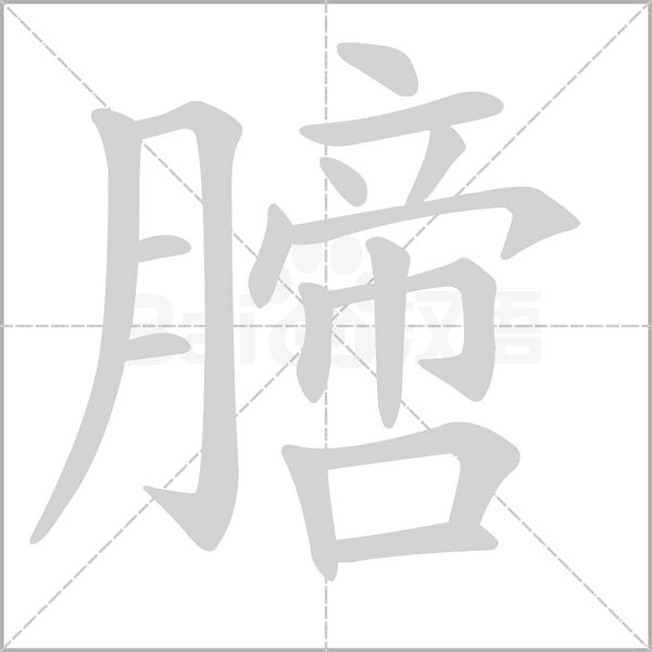 膪笔顺动图