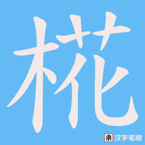 椛笔顺动图