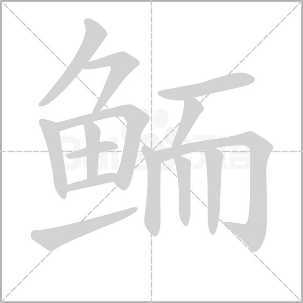 鲕笔顺动图
