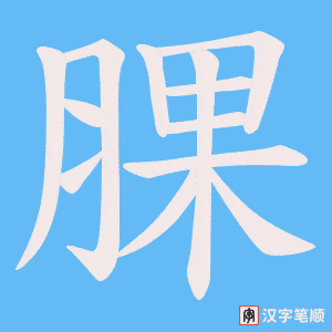 腂笔顺动图