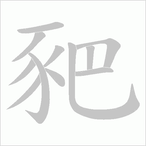 豝笔顺动图
