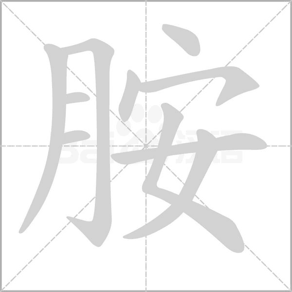 胺笔顺动图