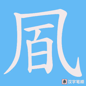 凮笔顺动图