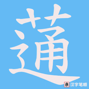 蓪笔顺动图