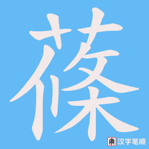 蓧笔顺动图