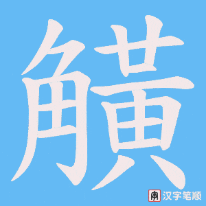 觵笔顺动图