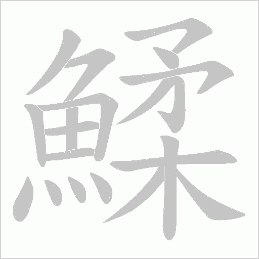 鰇笔顺动图