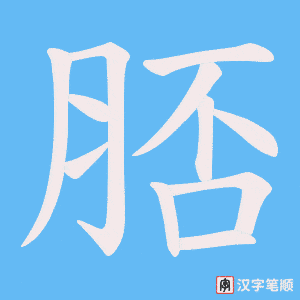 脴笔顺动图