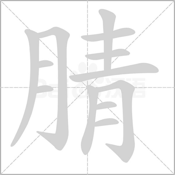 腈笔顺动图