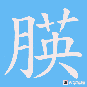 朠笔顺动图