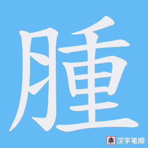 腫笔顺动图