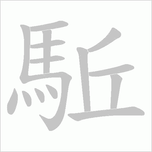 駈笔顺动图