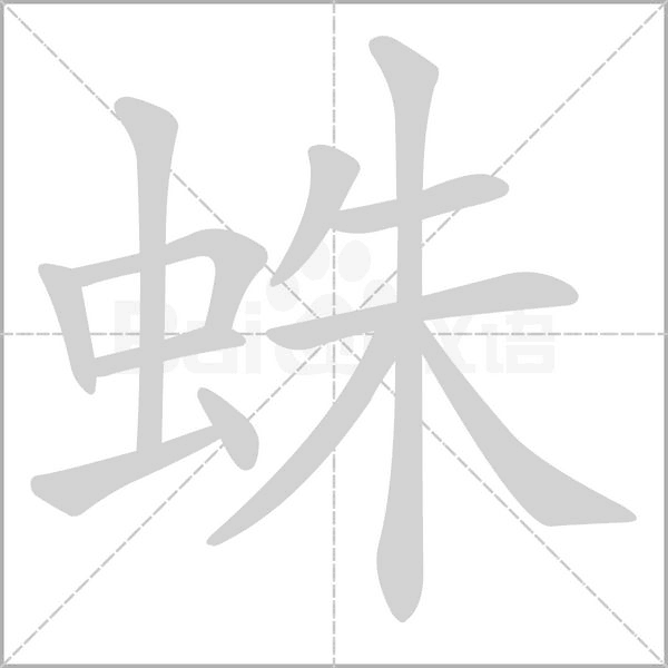 蛛笔顺动图