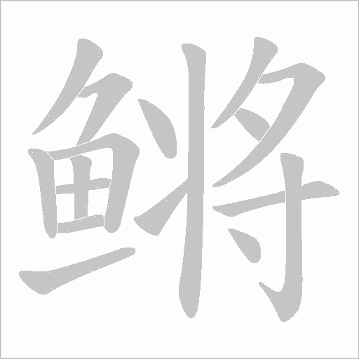 鳉笔顺动图