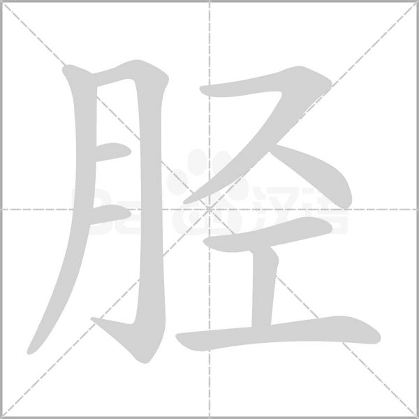 胫笔顺动图