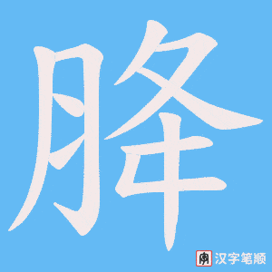 胮笔顺动图
