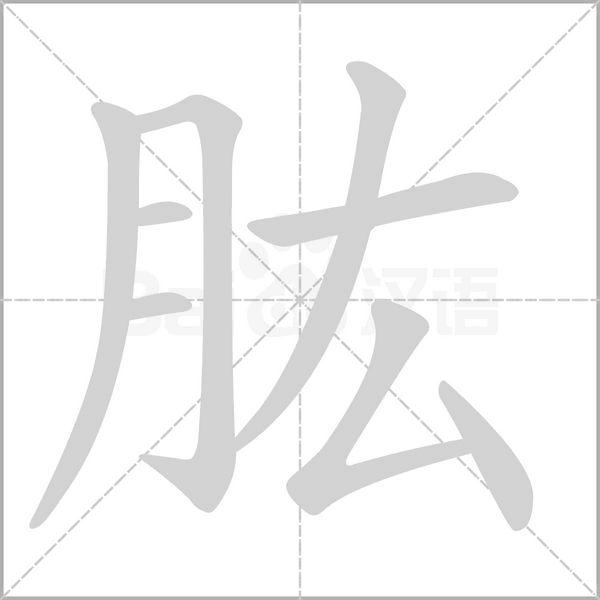 肱笔顺动图
