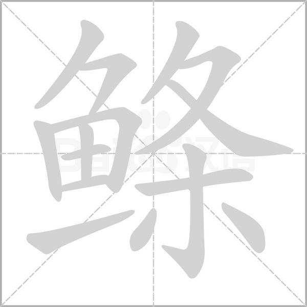鲦笔顺动图