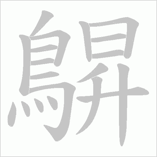鵿笔顺动图