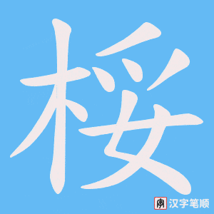 桵笔顺动图