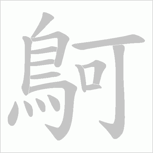 鴚笔顺动图