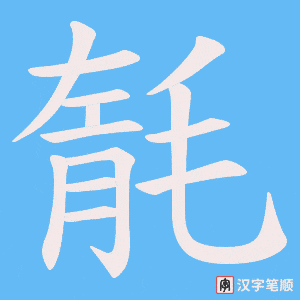毻笔顺动图