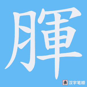 腪笔顺动图