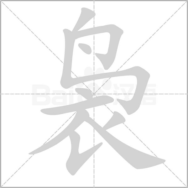 袅笔顺动图