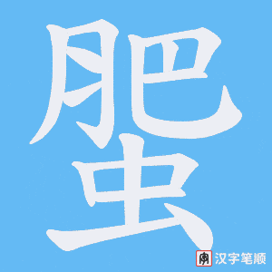 蜰笔顺动图