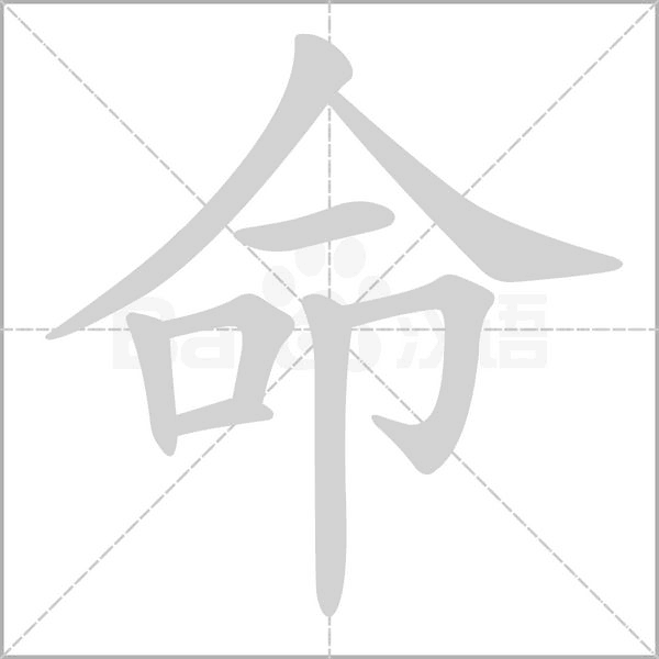 命笔顺动图