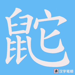 鼧笔顺动图
