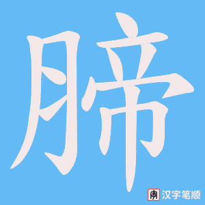 腣笔顺动图