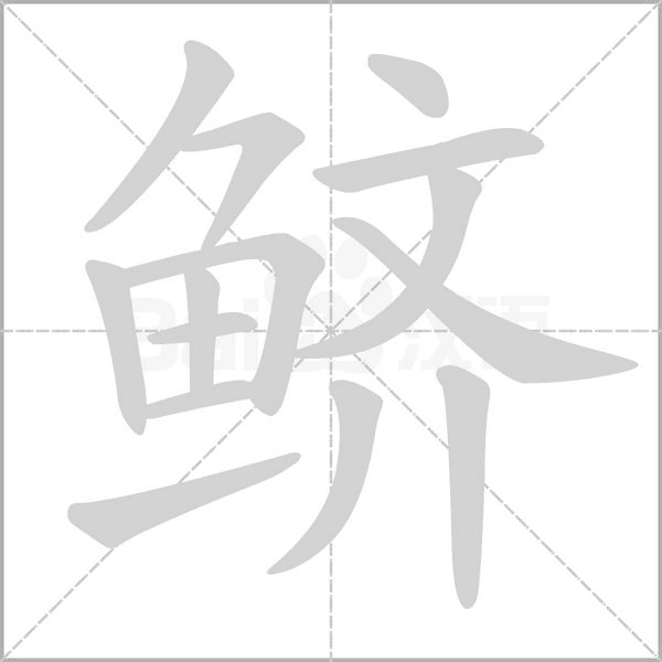鲚笔顺动图