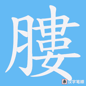膢笔顺动图