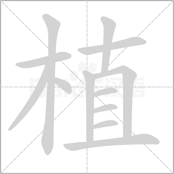 植笔顺动图