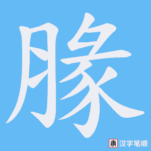 腞笔顺动图