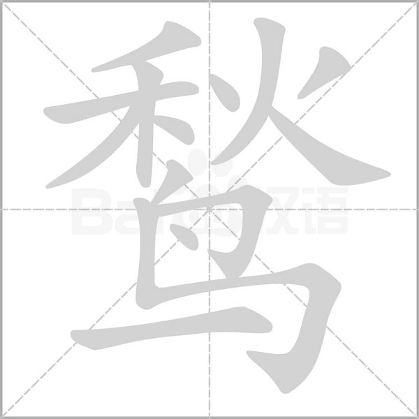鹙笔顺动图