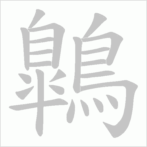 鷱笔顺动图