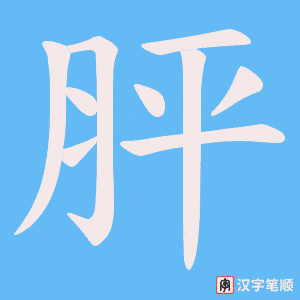 胓笔顺动图