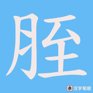 胵笔顺动图