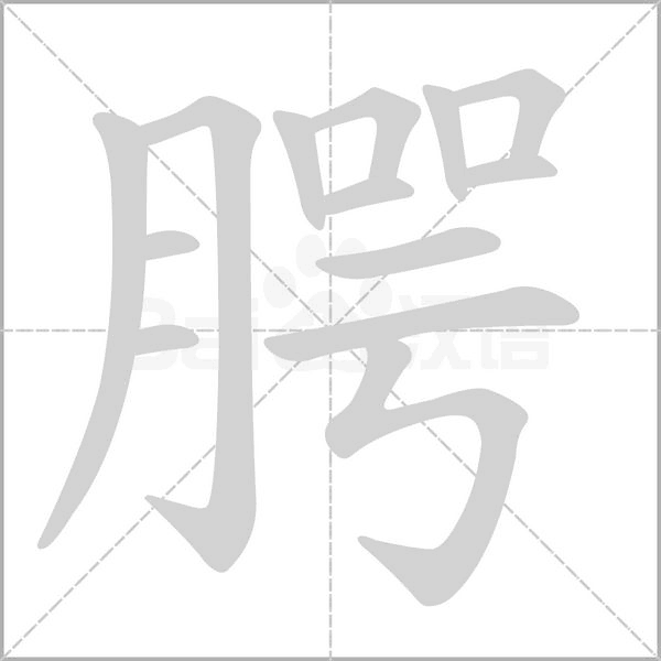 腭笔顺动图
